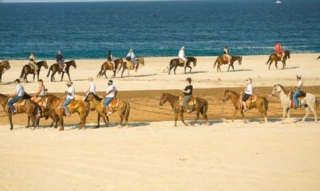 Passeggiate a cavallo 